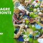 Le fiere e le sagre del Piemonte ogni giovedì sul canale WhatsApp della Regione