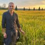 Deflusso ecologico rinviato al 2026: esultano gli agricoltori di Novara, Vco e Vercelli