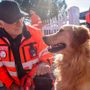 Protezione civile, accordo tra Anpas Piemonte e unità medico veterinaria volontaria
