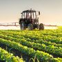 Coldiretti Piemonte: "Dall'Europa segnali preoccupanti su salute e agricoltura" Coldiretti Piemonte: "Dall'Europa segnali preoccupanti su salute e agricoltura"