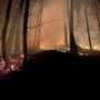 Incendi boschivi, la Regione Piemonte approva le linee guida per i piani di prevenzione territoriali
