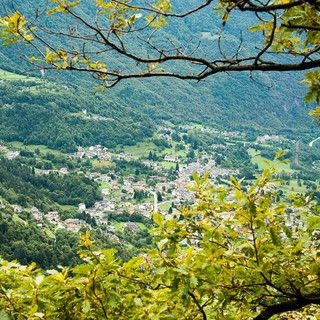 L’alpeggio della Fraccia: escursione tra natura, storie e antiche tradizioni in Val Divedro