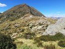 Estate tra natura, cultura e cammini: le proposte del Cai Valle Vigezzo per scoprire la montagna Estate tra natura, cultura e cammini: le proposte del Cai Valle Vigezzo per scoprire la montagna