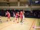Basket, sale l'attesa per il derby tra Vega Incontro Gravellona e Cestistica