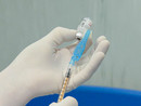 Virus respiratorio sincinziale: dal primo ottobre al via la campagna di immunizzazione Virus respiratorio sincinziale: dal primo ottobre al via la campagna di immunizzazione