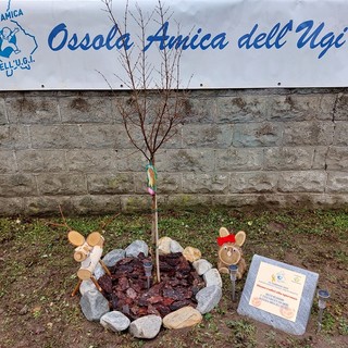 L’Ossola Amica dell’Ugi ha celebrato la giornata mondiale contro il cancro a Masera
