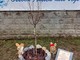 L’Ossola Amica dell’Ugi ha celebrato la giornata mondiale contro il cancro a Masera