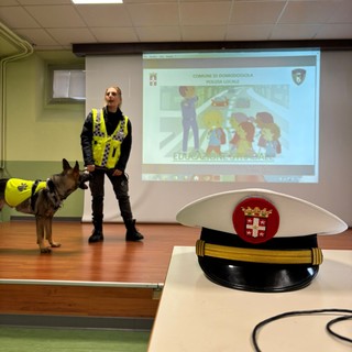 Educazione stradale in classe: a Domodossola arriva l’agente a quattro zampe