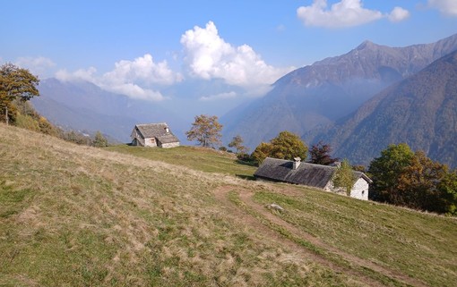 Musica in quota sale all’Alpe Incino con i ritmi del Brasile Musica in quota sale all’Alpe Incino con i ritmi del Brasile