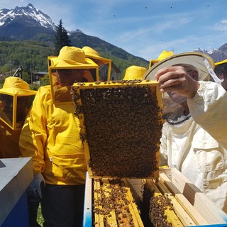 Nasce l’“Apiario Sociale” delle Vallate Ossolane: un progetto di apicoltura condivisa