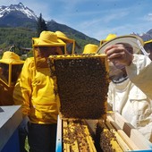 Nasce l’“Apiario Sociale” delle Vallate Ossolane: un progetto di apicoltura condivisa