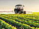 Coldiretti Piemonte: "Dall'Europa segnali preoccupanti su salute e agricoltura"