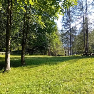 &quot;Raccontalo alle api!&quot;: a Bognanco una giornata all'insegna delle biodiversità
