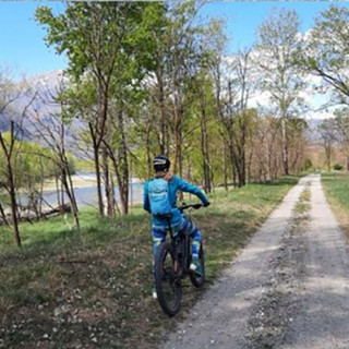 In bici alla scoperta della piantagione di te di Premosello
