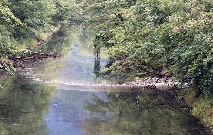 Il canale Enel a Villadossola durante lo scarico di liquami Il canale Enel a Villadossola durante lo scarico di liquami