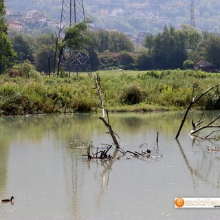 Il lago Tana tra Crevoladossola e Montecrestese
