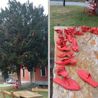 A Cuzzago un albero speciale per illuminare le coscienze