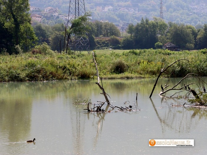 Il lago Tana tra Crevoladossola e Montecrestese Il lago Tana tra Crevoladossola e Montecrestese