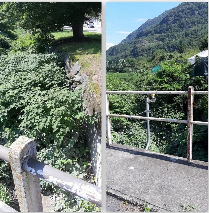 Troppa vegetazione nei corsi d'acqua ai Calami