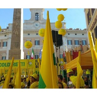 Sos Frutta: martedì il blitz degli agricoltori Coldiretti in piazza Castello a Torino