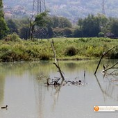 Il lago Tana tra Crevoladossola e Montecrestese Il lago Tana tra Crevoladossola e Montecrestese