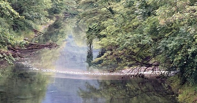 Il canale Enel a Villadossola durante lo scarico di liquami Il canale Enel a Villadossola durante lo scarico di liquami