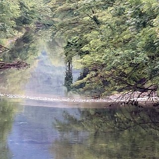 Il canale Enel a Villadossola durante lo scarico di liquami