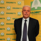 Domenico Pautasso