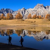 Il fascino del Forest Bathing: una giornata di immersione sensoriale nella natura a Devero Il fascino del Forest Bathing: una giornata di immersione sensoriale nella natura a Devero