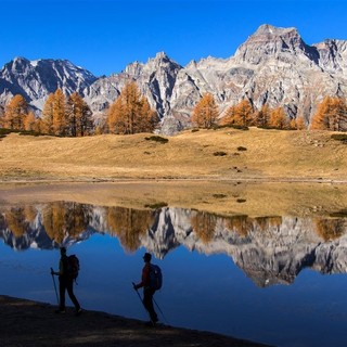 Il fascino del Forest Bathing: una giornata di immersione sensoriale nella natura a Devero