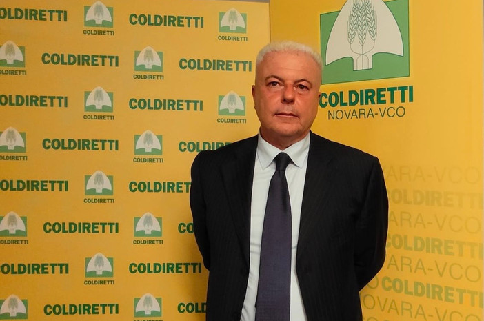Domenico Pautasso