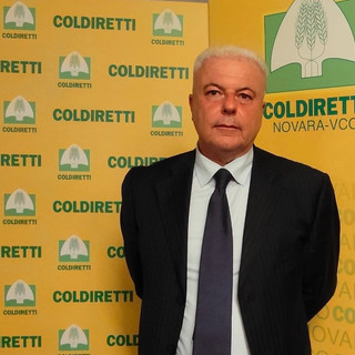 Domenico Pautasso
