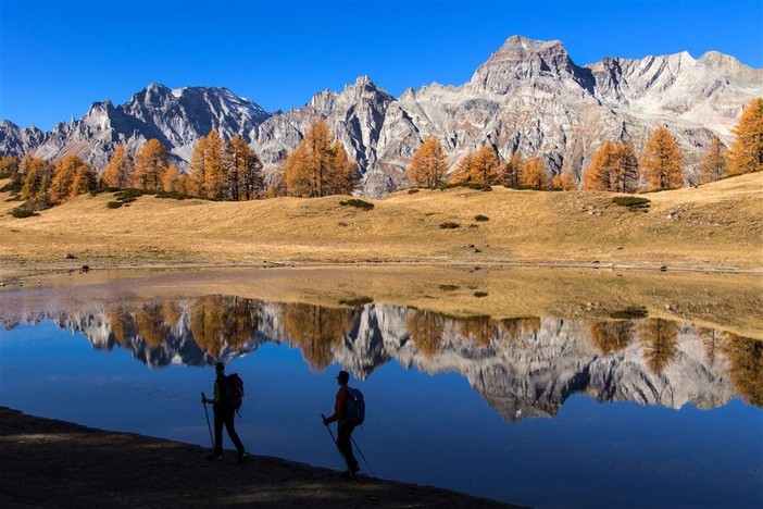 Il fascino del Forest Bathing: una giornata di immersione sensoriale nella natura a Devero
