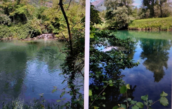 Acqua Novara Vco: ''In quella data non abbiamo riscontrato anomalie al depuratore di Villadossola'' Acqua Novara Vco: ''In quella data non abbiamo riscontrato anomalie al depuratore di Villadossola''