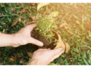 Settimana ecologica a Montecrestese con i bimbi della scuola primaria