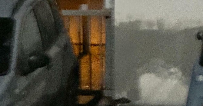 Una faina si aggira tre le auto nel parcheggio sotterraneo dell'ospedale domese Una faina si aggira tre le auto nel parcheggio sotterraneo dell'ospedale domese