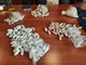 Formazza, il ghiacciaio Sabbioni nord ha perso 14 metri in 3 anni Formazza, il ghiacciaio Sabbioni nord ha perso 14 metri in 3 anni