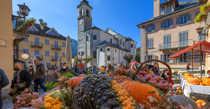 Santa Maria Maggiore si veste a festa per Fuori di Zucca Santa Maria Maggiore si veste a festa per Fuori di Zucca