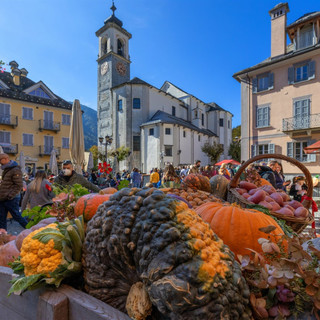 Santa Maria Maggiore si prepara alla ventesima edizione di Fuori di Zucca