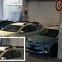 Le faine sono tornare all'ospedale San Biagio Le faine sono tornare all'ospedale San Biagio