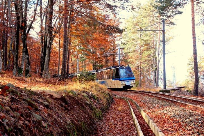 La magia dell'autunno tra Ossola e Svizzera: riparte il Treno del Foliage La magia dell'autunno tra Ossola e Svizzera: riparte il Treno del Foliage