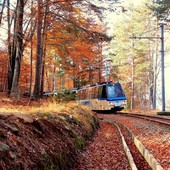 La magia dell'autunno tra Ossola e Svizzera: riparte il Treno del Foliage La magia dell'autunno tra Ossola e Svizzera: riparte il Treno del Foliage