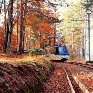 La magia dell'autunno tra Ossola e Svizzera: riparte il Treno del Foliage