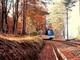 La magia dell'autunno tra Ossola e Svizzera: riparte il Treno del Foliage