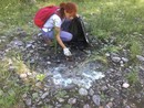 Rifiuti lungo il Toce, volontari in azione per ripulire la zona nei pressi di Domo 2 Rifiuti lungo il Toce, volontari in azione per ripulire la zona nei pressi di Domo 2
