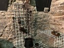 Nasce alla Noga il ''Museo del tempo'' Nasce alla Noga il ''Museo del tempo''