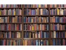 Caro libri e crisi delle librerie, Pompeo (PD): “La Regione intervenga subito” Caro libri e crisi delle librerie, Pompeo (PD): “La Regione intervenga subito”