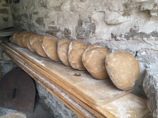 Lo Pan Ner arriva a Coimo, Vogogna e Aurano: un fine settimana dedicato al pane di segale Lo Pan Ner arriva a Coimo, Vogogna e Aurano: un fine settimana dedicato al pane di segale