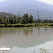 Lago Tana, il Comune respinge le critiche: "La provincia conferma la legittimità degli interventi" Lago Tana, il Comune respinge le critiche: "La provincia conferma la legittimità degli interventi"
