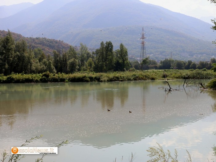 Lago Tana, il Comune respinge le critiche: "La provincia conferma la legittimità degli interventi"